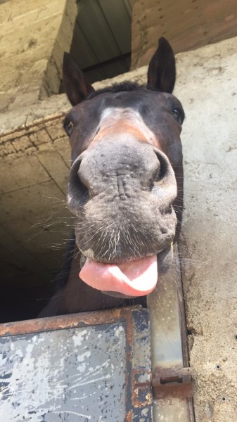 Photo de profil de opaleeb