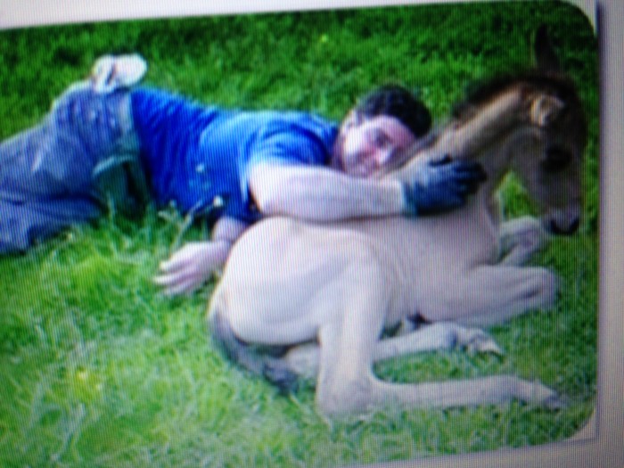 Photo de profil de orsepassion