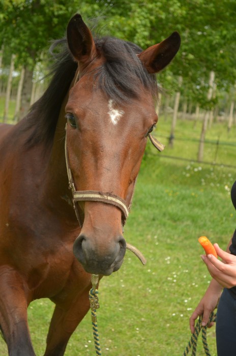 Photo de profil de p.amizet