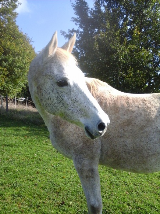 Photo de profil de papouille