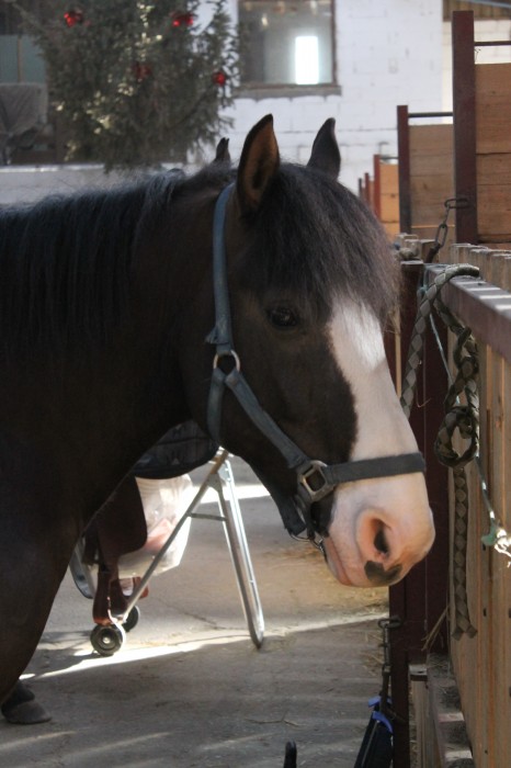 Photo de profil de paqlo