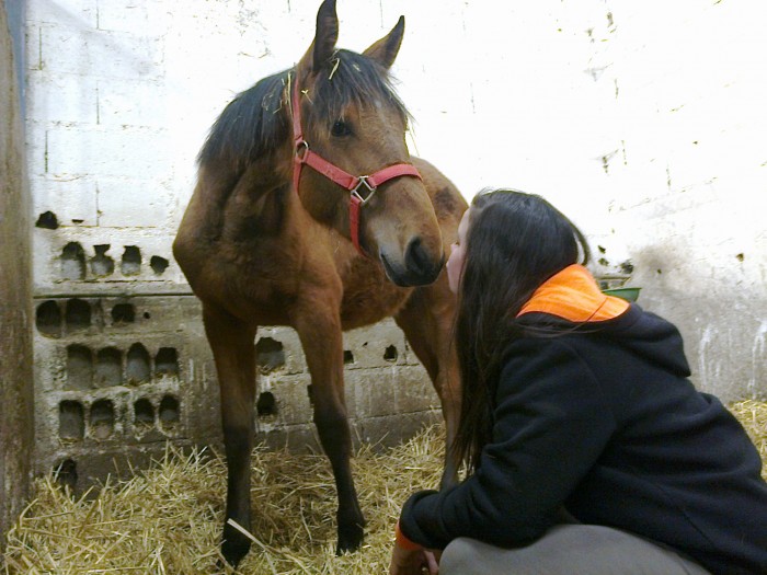 Photo de profil de passionanimal25