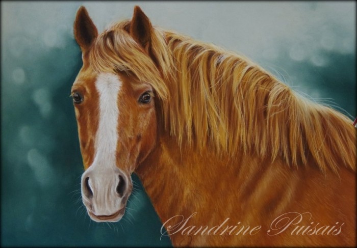 Photo de profil de pastelsandrine