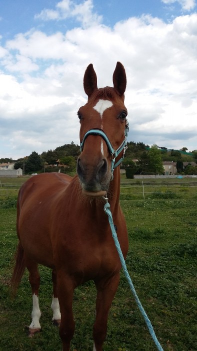 Photo de profil de patoudegina