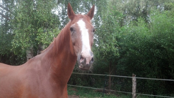 Photo de profil de patti