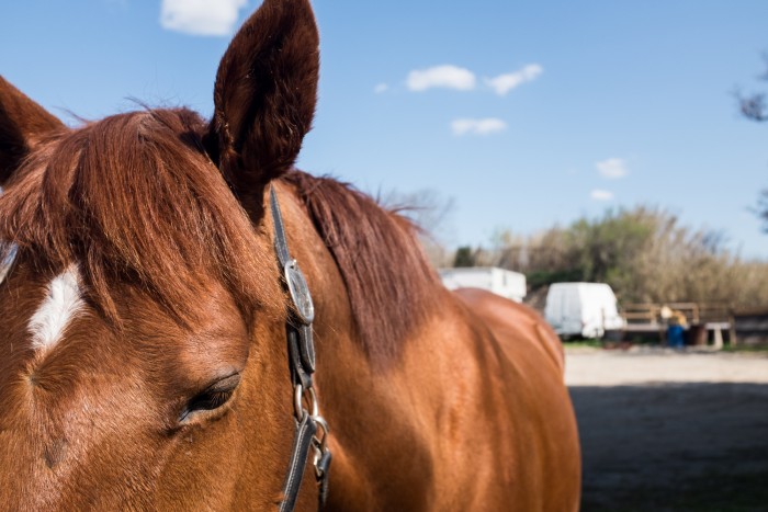 Photo de profil de paulineduchesse