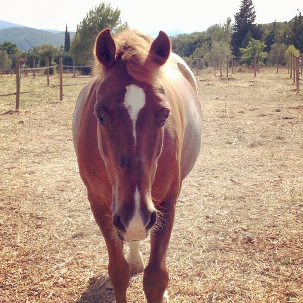 Photo de profil de paulinepako