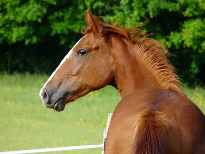 Photo de profil de petimadaire85