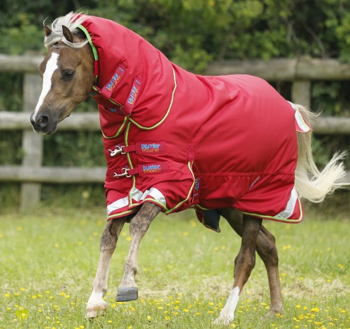 Photo de profil de petinuage