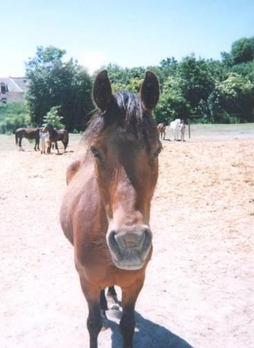 Photo de profil de petitemun