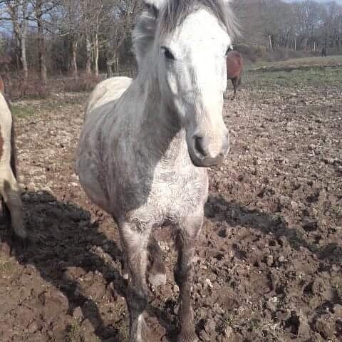 Photo de profil de petitpr242