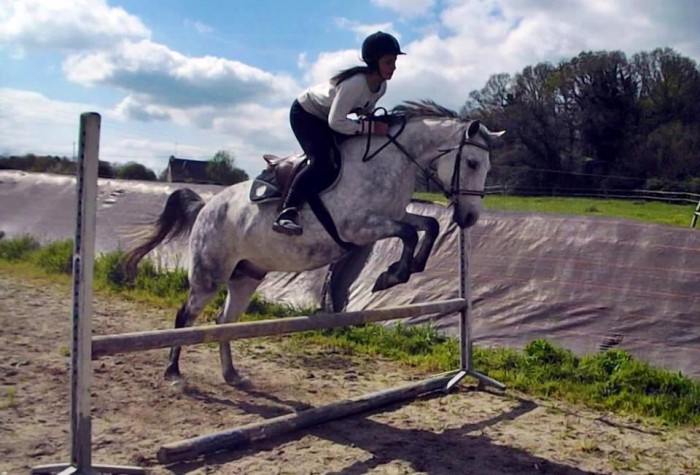 Photo de profil de petitpursang