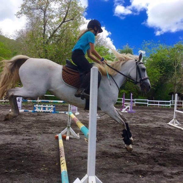 Photo de profil de pets.family