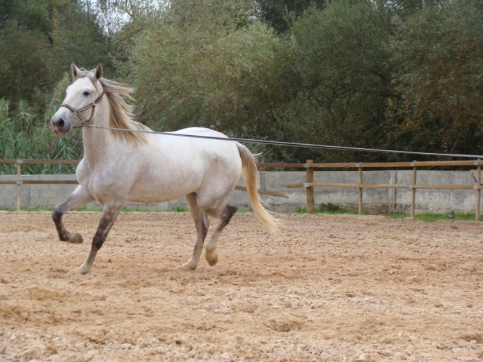 Photo de profil de phenix83440