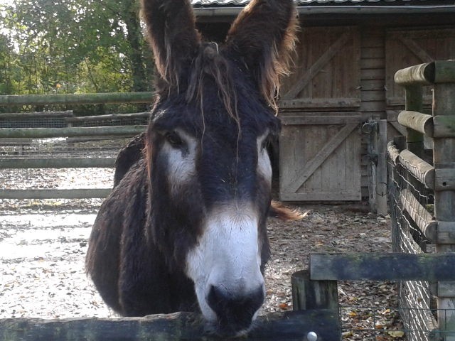 Photo de profil de philippebesse