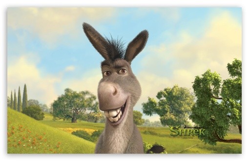 Photo de profil de philippos