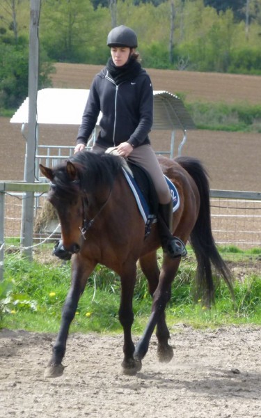 Photo de profil de phoenixsong