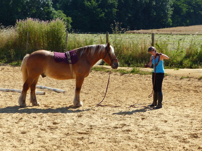 Photo de profil de pilgrim27