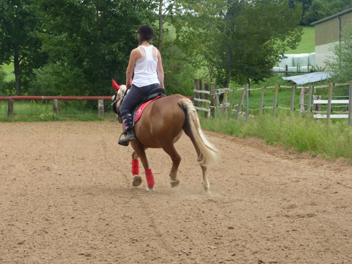 Photo de profil de pizzapaarty