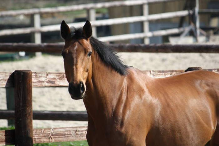 Photo de profil de plumastrid