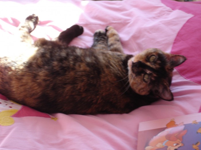 Photo de profil de plumette4012