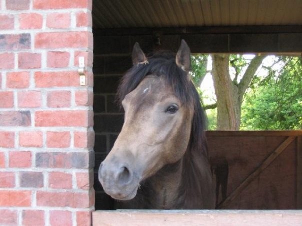 Photo de profil de poeme67