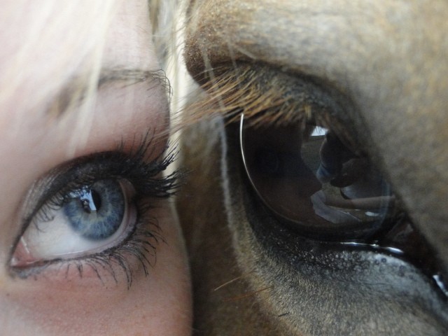 Photo de profil de poney1607