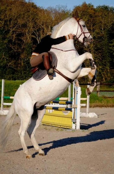 Photo de profil de powpow06