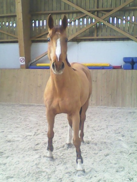 Photo de profil de priscilla01