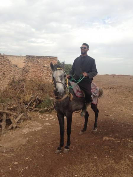 Photo de profil de pursang1