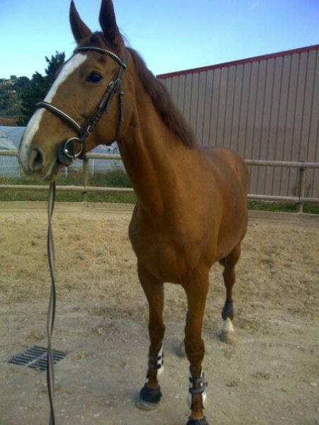 Photo de profil de quavala69