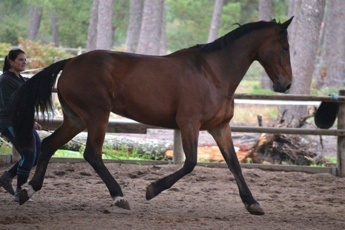 Photo de profil de queridadumont