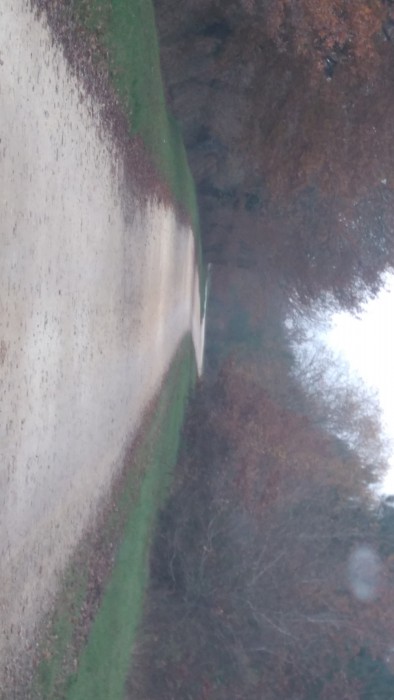 Photo de profil de quitrie