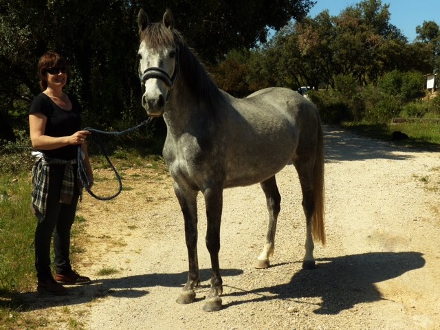 Photo de profil de rafa