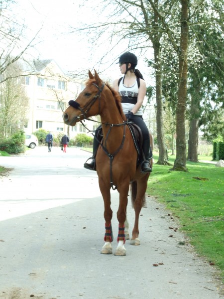 Photo de profil de ramdametanne