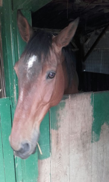 Photo de profil de ranchespoir
