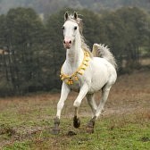 Photo de profil de redyflouz