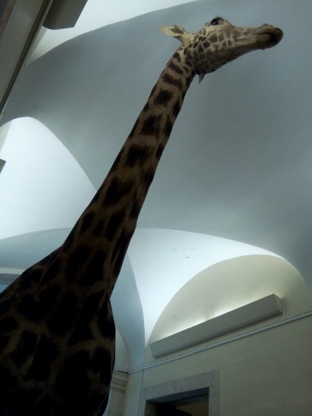 Photo de profil de rejane2301