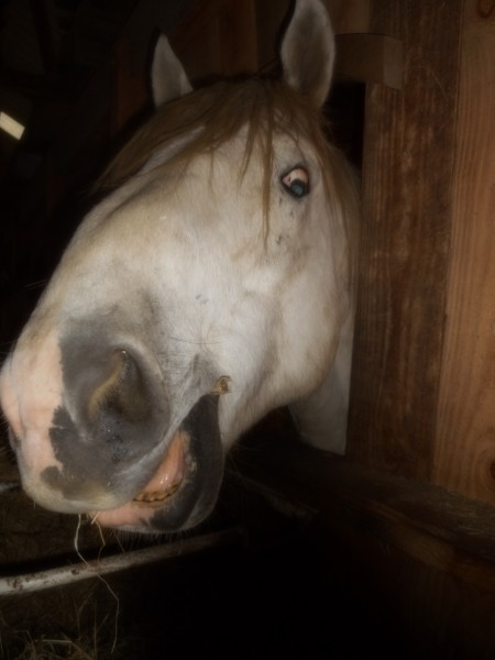 Photo de profil de renaudrey