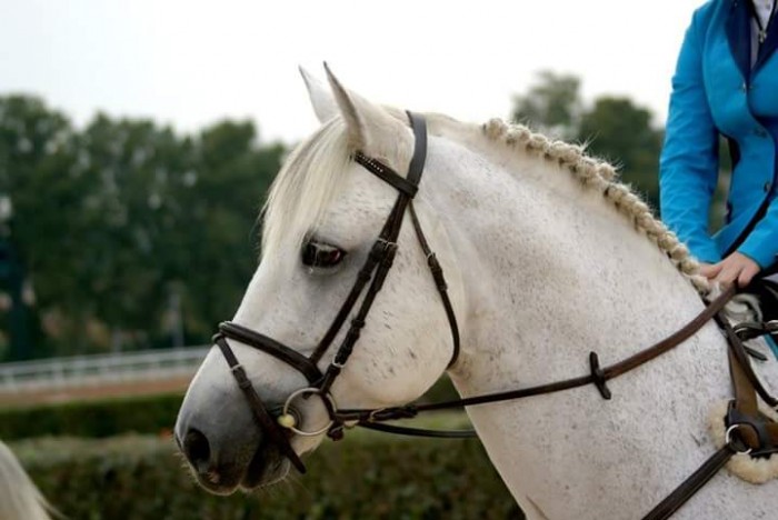 Photo de profil de richarddouzal