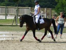 Photo de profil de rin17