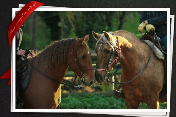 Photo de profil de ruby_kenzo