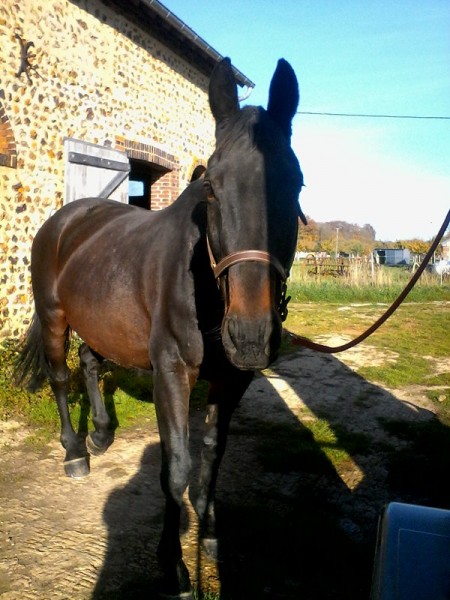 Photo de profil de rural27