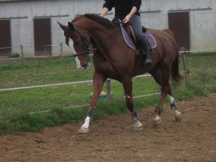 Photo de profil de sabinem