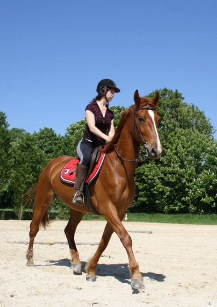 Photo de profil de sabzazou