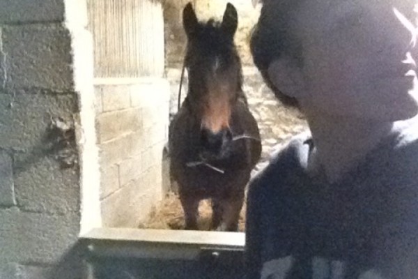 Photo de profil de sachoupanda