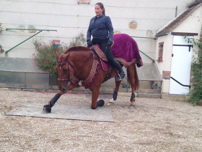 Photo de profil de saintgeorges