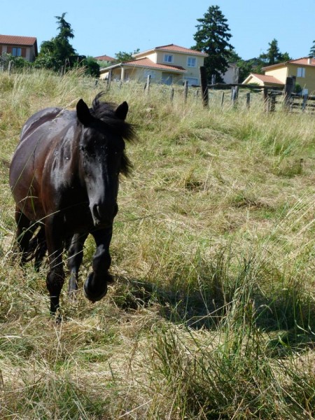 Photo de profil de samazange