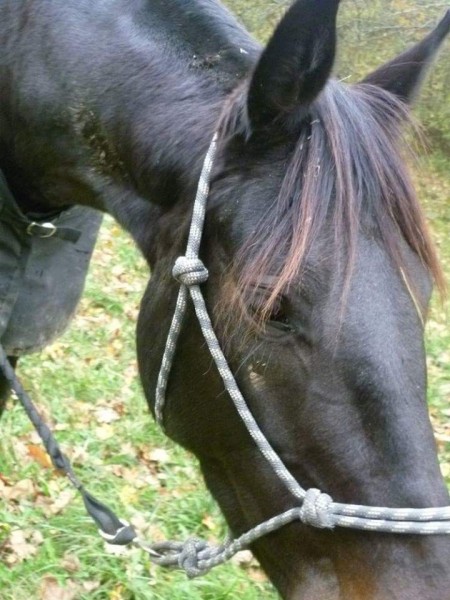 Photo de profil de san01