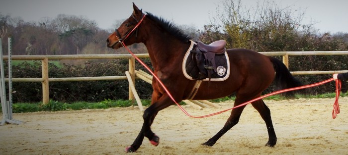 Photo de profil de sandrou14
